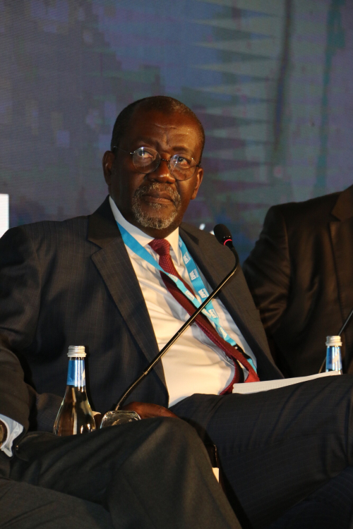 Sylvain Usher, Executive Director of the African Water and Sanitation Association (AfWASA), panellist