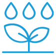 irrigation