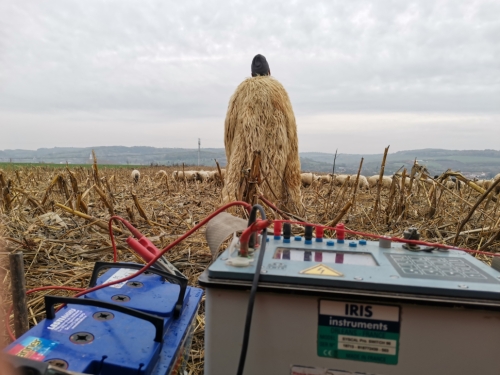 Drinking water supply of settlements in Valea Ierului (Romania)